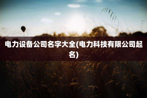 电力设备公司名字大全(电力科技有限公司起名)
