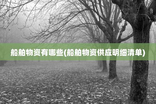 船舶物资有哪些(船舶物资供应明细清单)