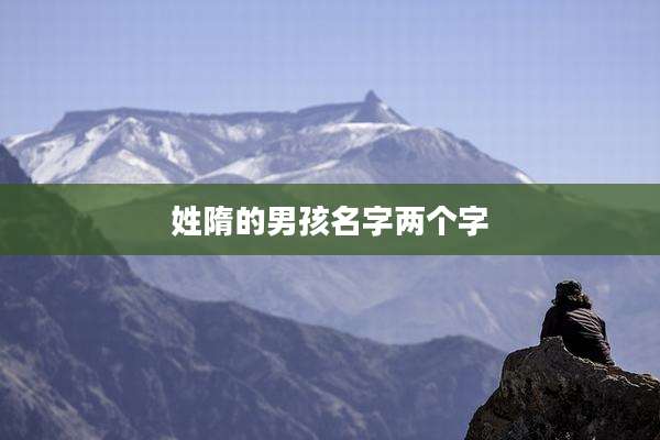 姓隋的男孩名字两个字