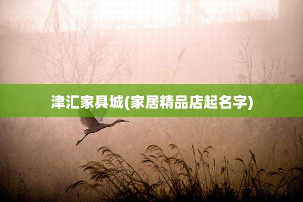 津汇家具城(家居精品店起名字)