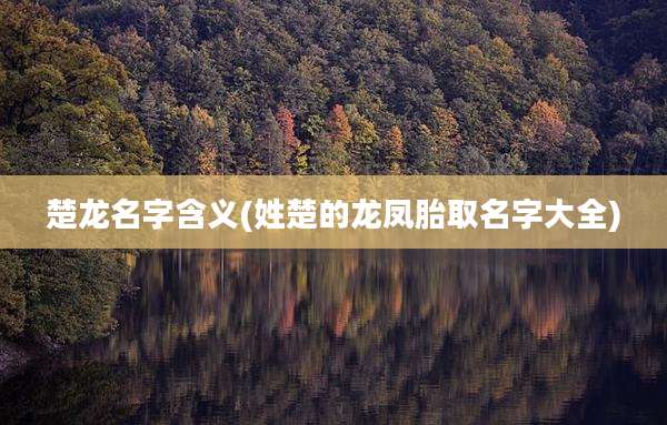 楚龙名字含义(姓楚的龙凤胎取名字大全)