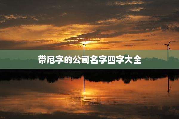 带尼字的公司名字四字大全