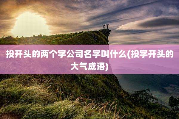 投开头的两个字公司名字叫什么(投字开头的大气成语)