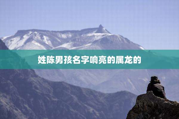 姓陈男孩名字响亮的属龙的