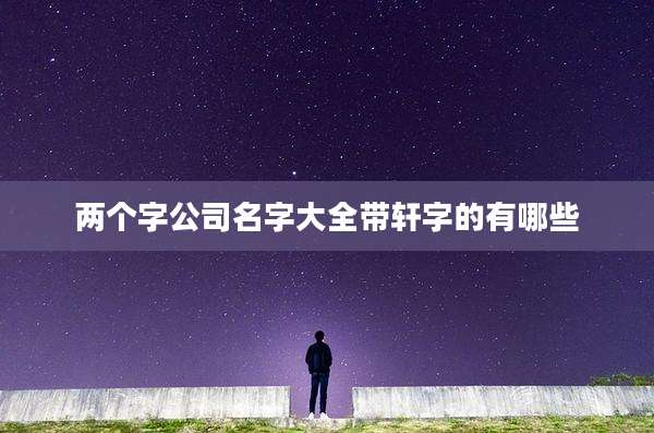 两个字公司名字大全带轩字的有哪些