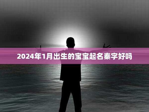 2024年1月出生的宝宝起名秦字好吗