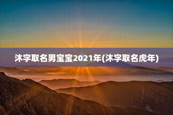 沐字取名男宝宝2021年(沐字取名虎年)