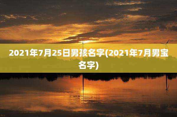 2021年7月25日男孩名字(2021年7月男宝名字)