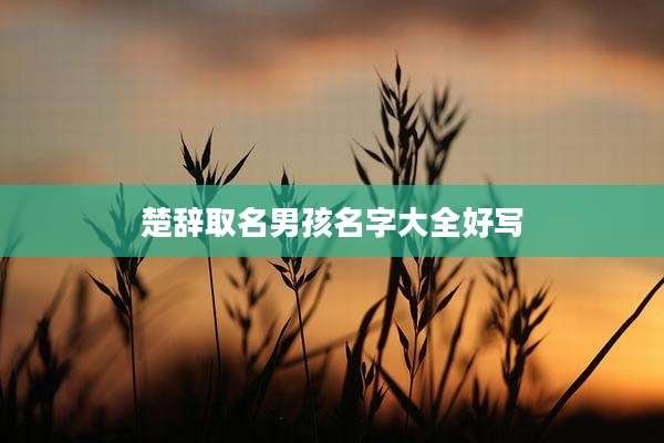 楚辞取名男孩名字大全好写