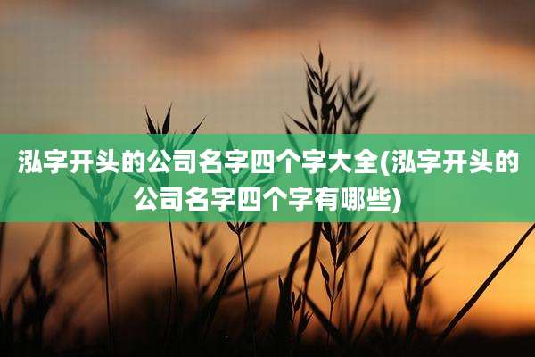 泓字开头的公司名字四个字大全(泓字开头的公司名字四个字有哪些)