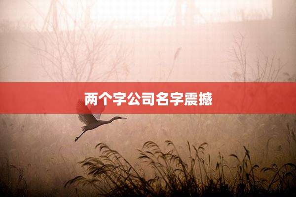 两个字公司名字震撼