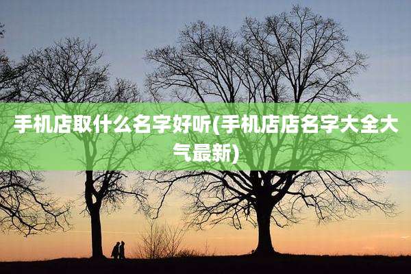 手机店取什么名字好听(手机店店名字大全大气最新)