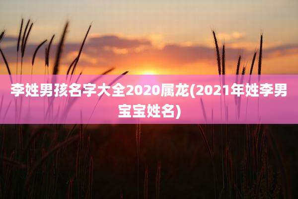 李姓男孩名字大全2020属龙(2021年姓李男宝宝姓名)
