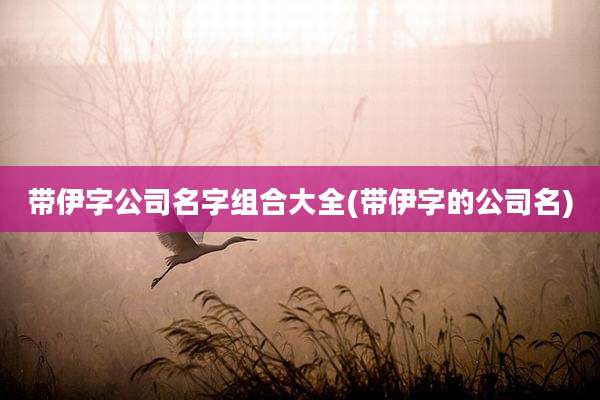 带伊字公司名字组合大全(带伊字的公司名)