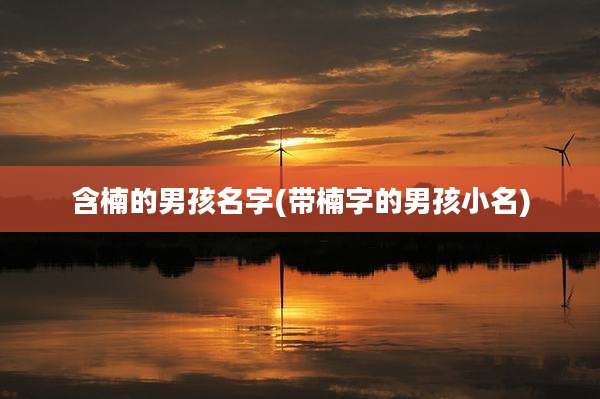 含楠的男孩名字(带楠字的男孩小名)