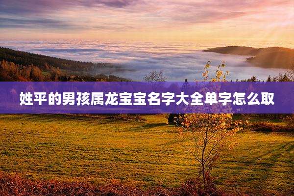 姓平的男孩属龙宝宝名字大全单字怎么取