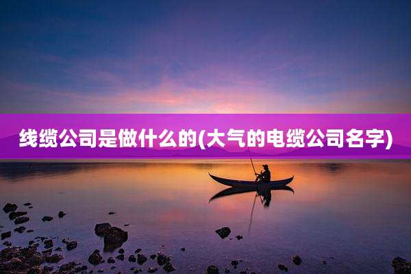 线缆公司是做什么的(大气的电缆公司名字)