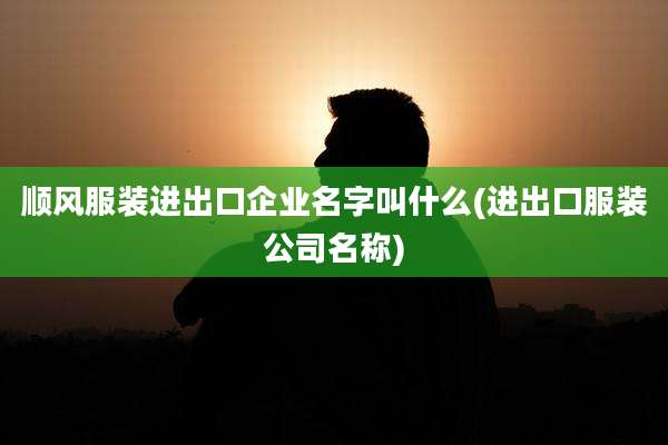 顺风服装进出口企业名字叫什么(进出口服装公司名称)