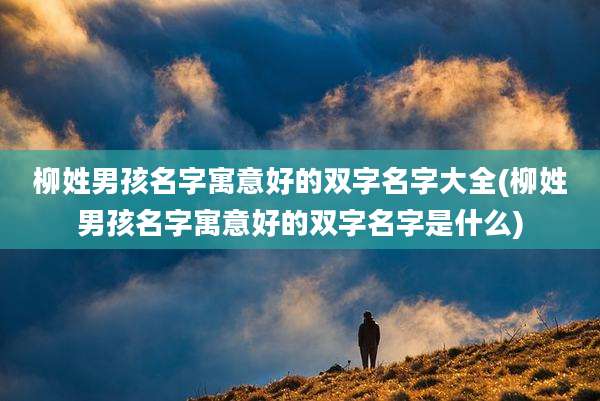 柳姓男孩名字寓意好的双字名字大全(柳姓男孩名字寓意好的双字名字是什么)