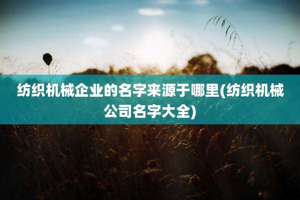 纺织机械企业的名字来源于哪里(纺织机械公司名字大全)