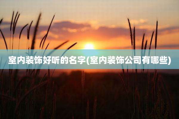 室内装饰好听的名字(室内装饰公司有哪些)