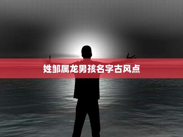 姓邹属龙男孩名字古风点