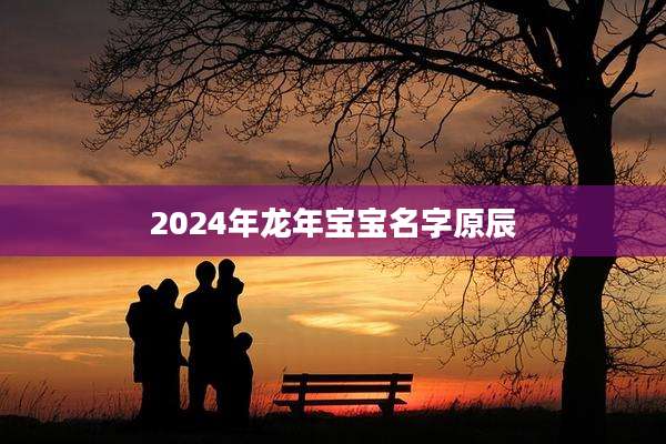 2024年龙年宝宝名字原辰