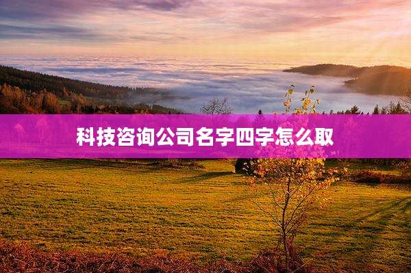科技咨询公司名字四字怎么取