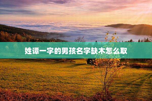姓谭一字的男孩名字缺木怎么取