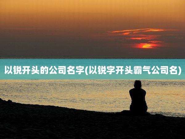 以锐开头的公司名字(以锐字开头霸气公司名)
