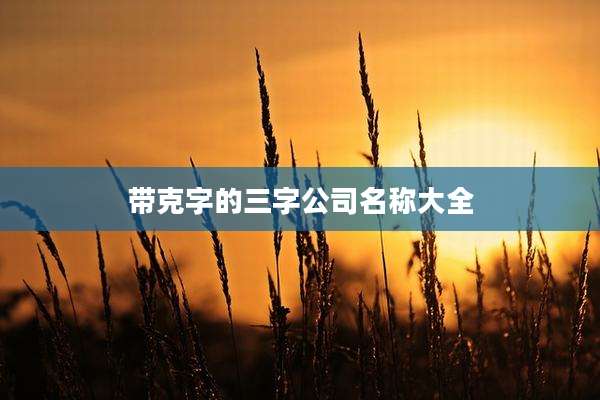 带克字的三字公司名称大全