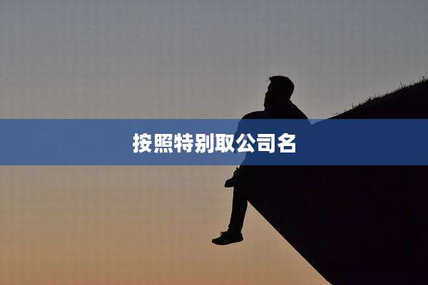 按照特别取公司名