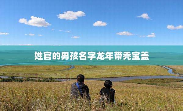 姓官的男孩名字龙年带秃宝盖
