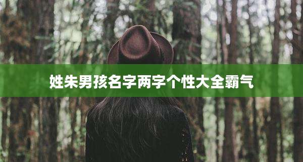 姓朱男孩名字两字个性大全霸气