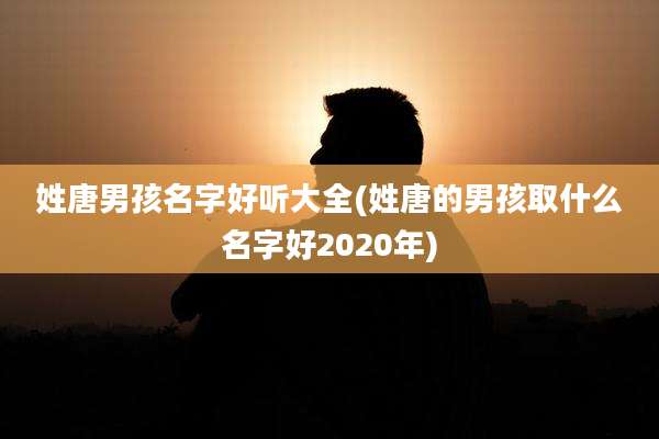 姓唐男孩名字好听大全(姓唐的男孩取什么名字好2020年)