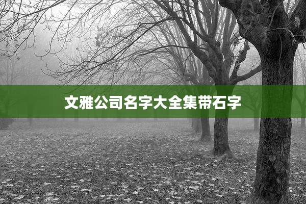 文雅公司名字大全集带石字