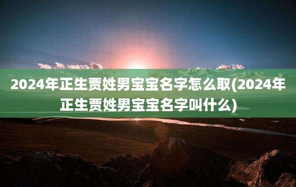 2024年正生贾姓男宝宝名字怎么取(2024年正生贾姓男宝宝名字叫什么)