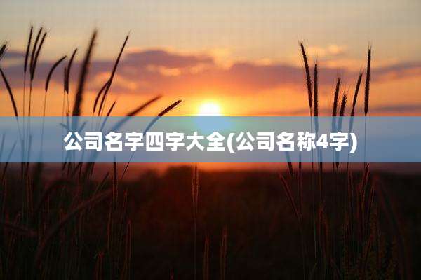 公司名字四字大全(公司名称4字)
