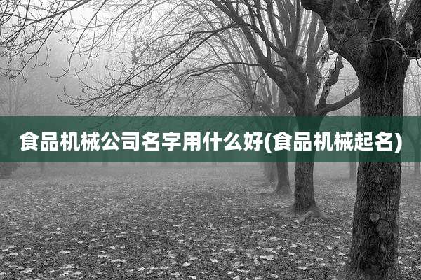 食品机械公司名字用什么好(食品机械起名)
