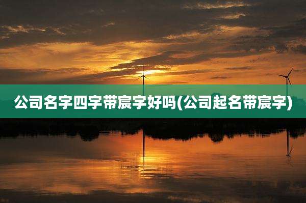 公司名字四字带宸字好吗(公司起名带宸字)