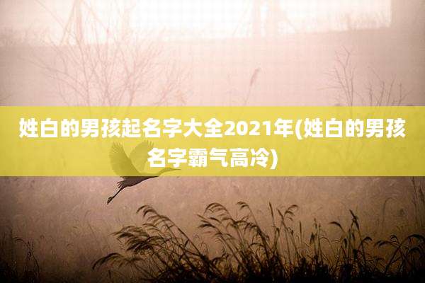 姓白的男孩起名字大全2021年(姓白的男孩名字霸气高冷)