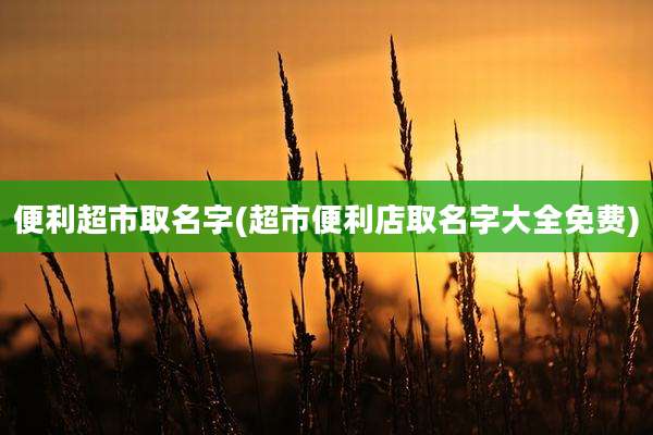 便利超市取名字(超市便利店取名字大全免费)
