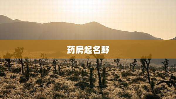 药房起名野