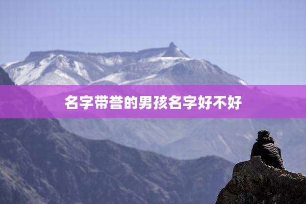 名字带誉的男孩名字好不好