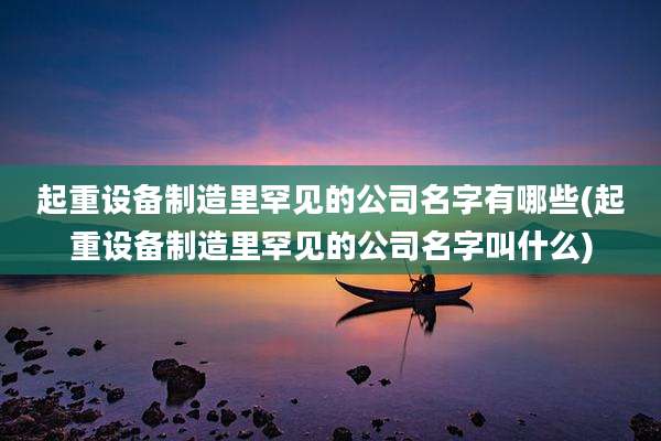 起重设备制造里罕见的公司名字有哪些(起重设备制造里罕见的公司名字叫什么)