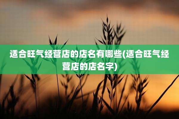 适合旺气经营店的店名有哪些(适合旺气经营店的店名字)