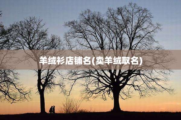 羊绒衫店铺名(卖羊绒取名)