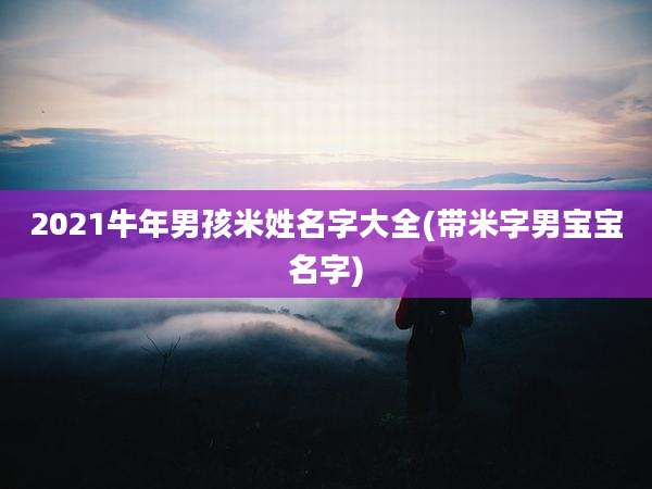 2021牛年男孩米姓名字大全(带米字男宝宝名字)
