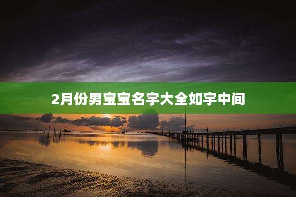 2月份男宝宝名字大全如字中间