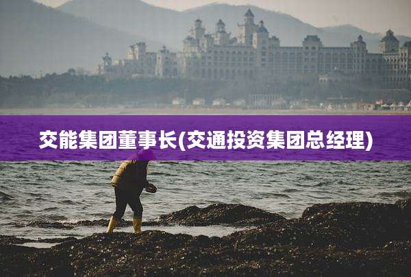 交能集团董事长(交通投资集团总经理)